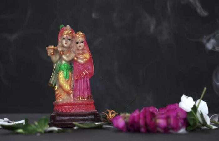 Radha Krishna Dp