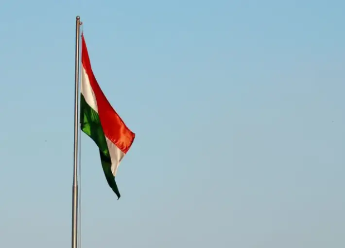 S Tiranga Dp