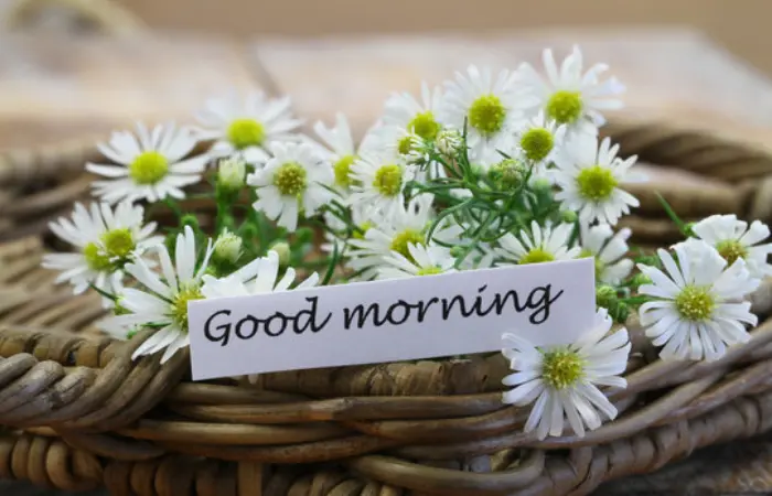 Animated Good Morning Images